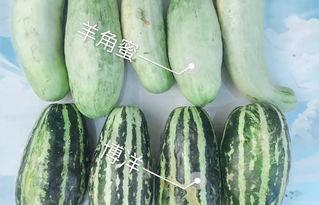 网红今日吃瓜,揭秘娱乐圈最新热点事件