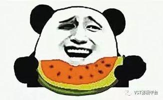 五一吃瓜群众今日吃瓜,吃瓜群众热议热点事件